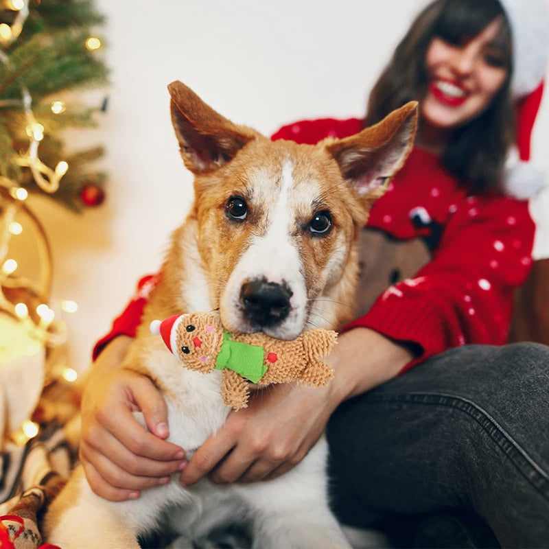 Christmas Squeaky Stuffed Dog Chew Toy