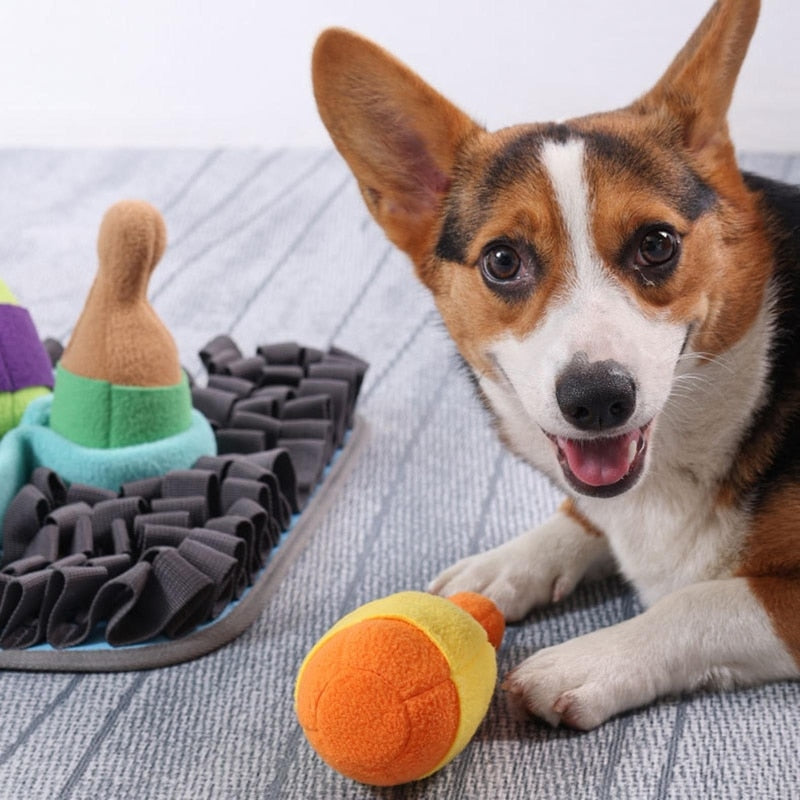 Dog Snuffle Sniffing Training Toys