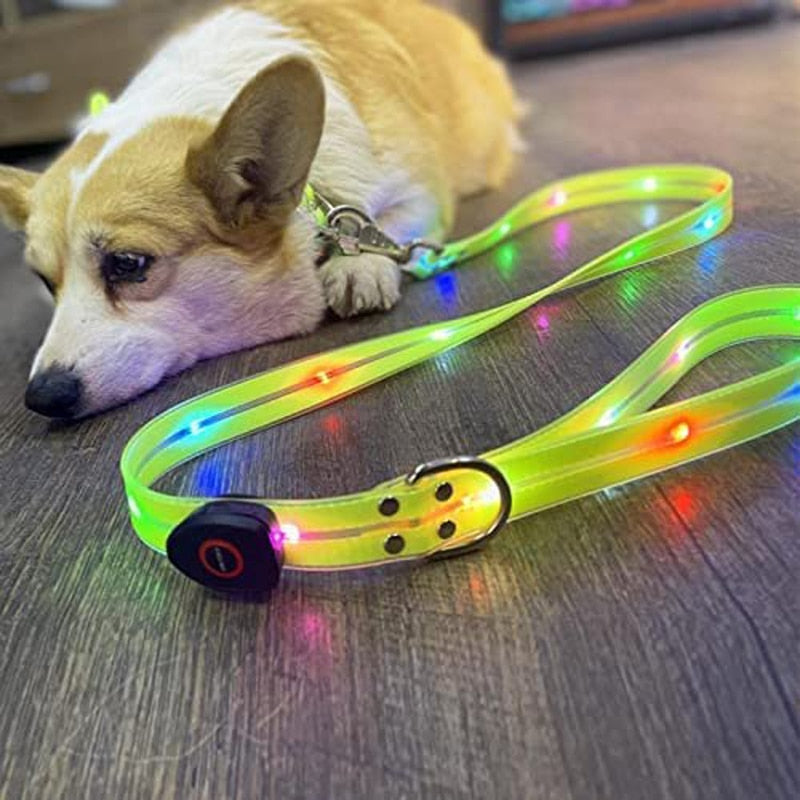 Light Up Led Dog Leashes And Collar