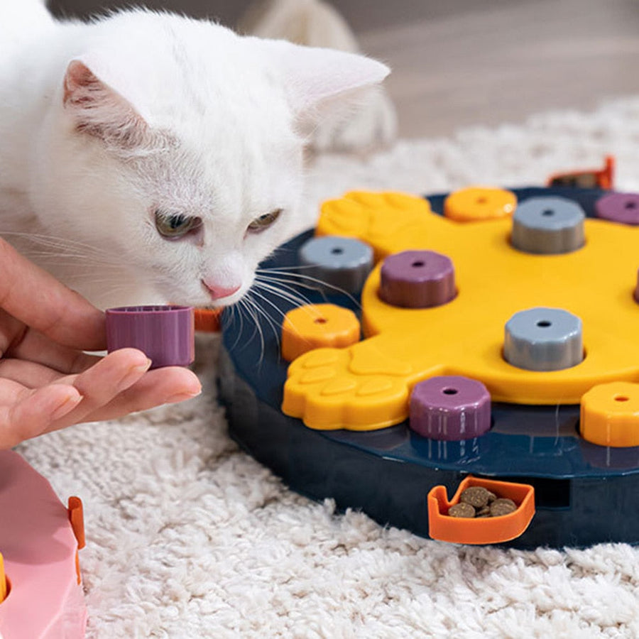 Fun Slow Food Pets Puzzle Toys