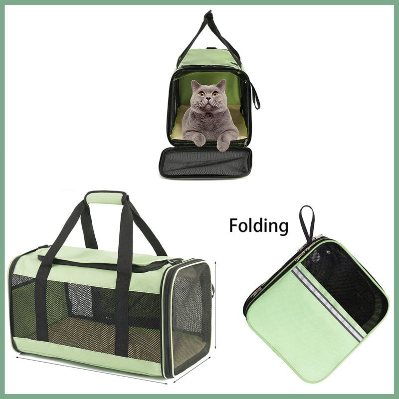 Collapsible Large Carrier For Dogs