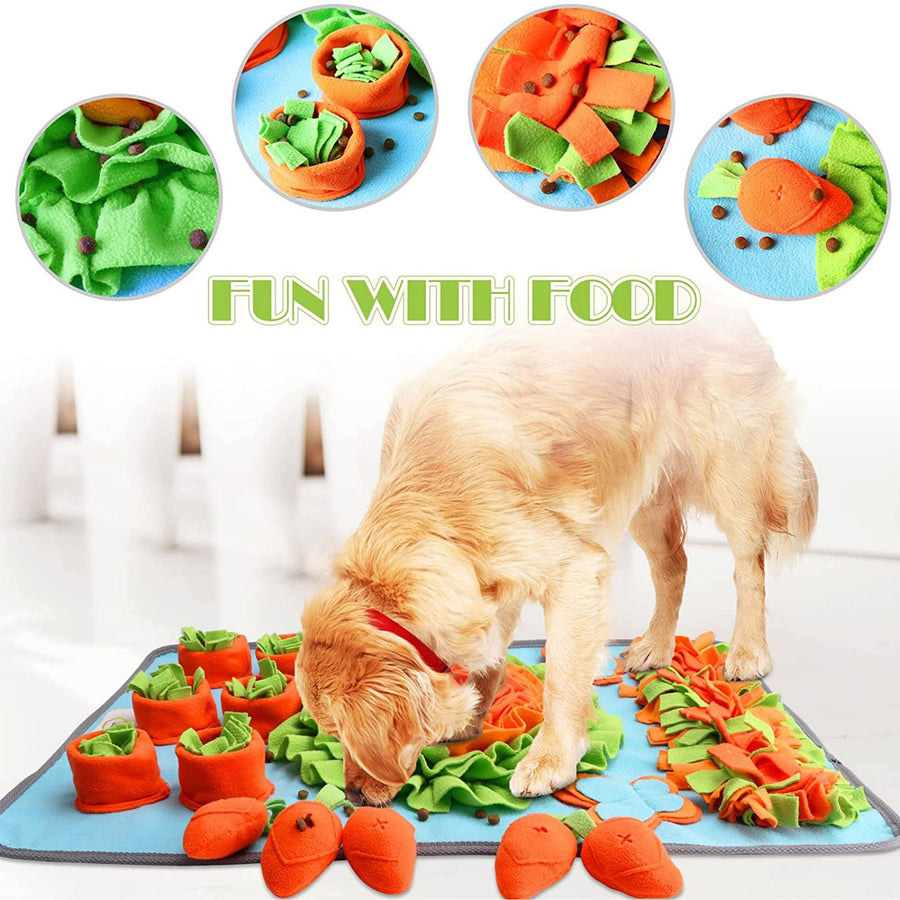 Carrot Farm Dogs Snuffle Mat