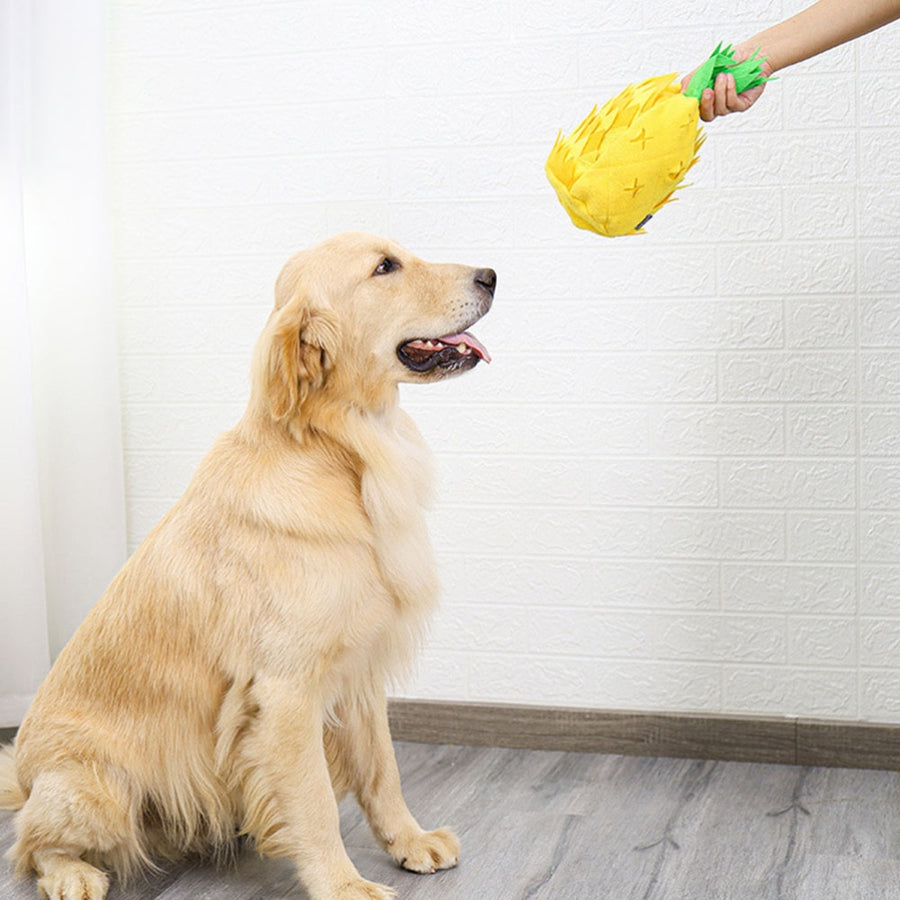 Pineapple Dog Snuffle Fun Toy