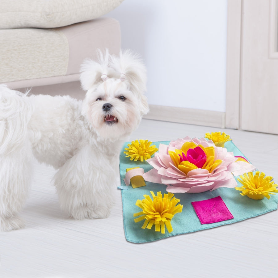 Lotus Design Dog Snuffle Mats