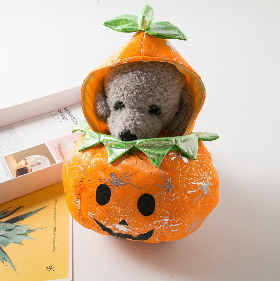 Halloween Funny Pumpkin Pets Costume