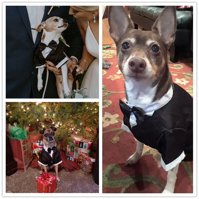 Formal Tuxedo Black Tie Dog Shirt