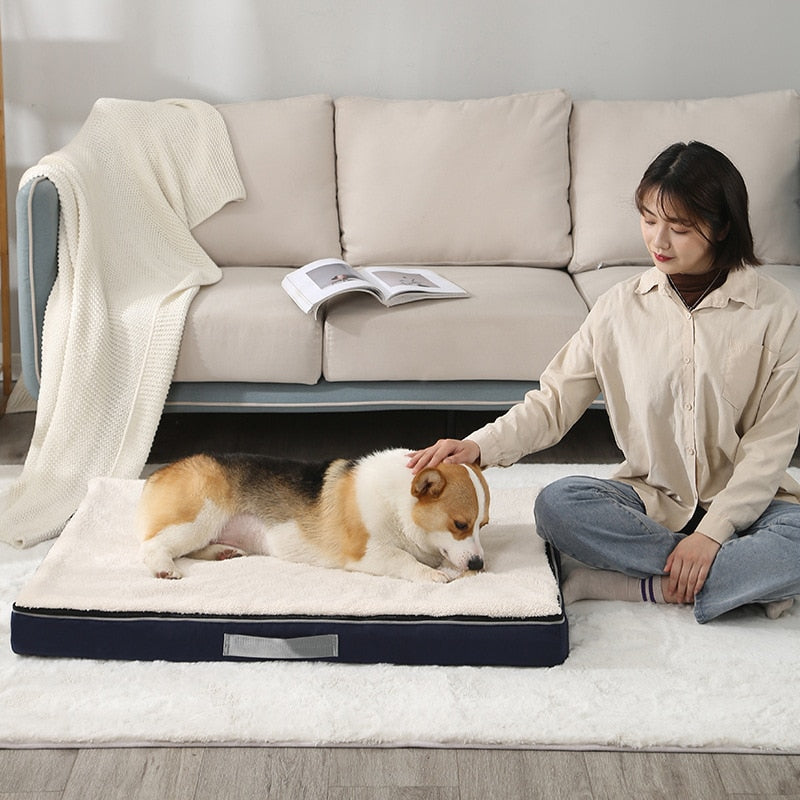 Memory Foam Orthopedic Dog Beds