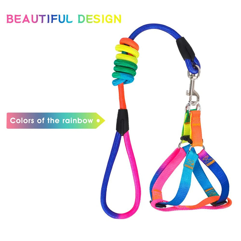 Rainbow No Pull Dog Harness Leash Set