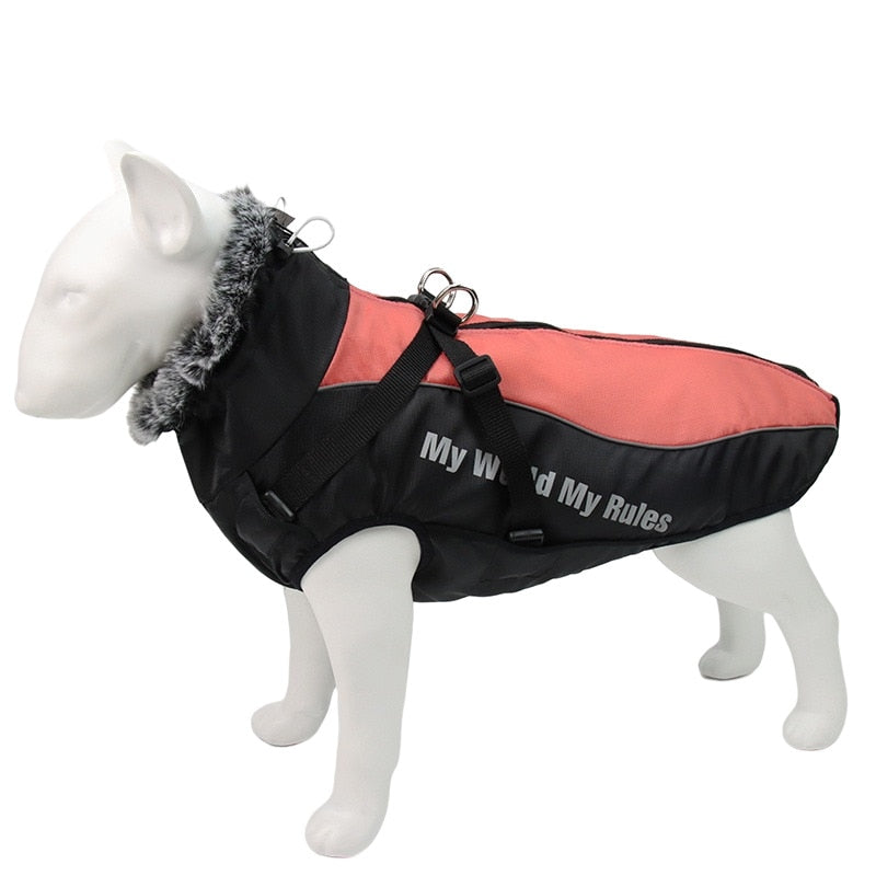 Waterproof Large Dog Coat With Harness