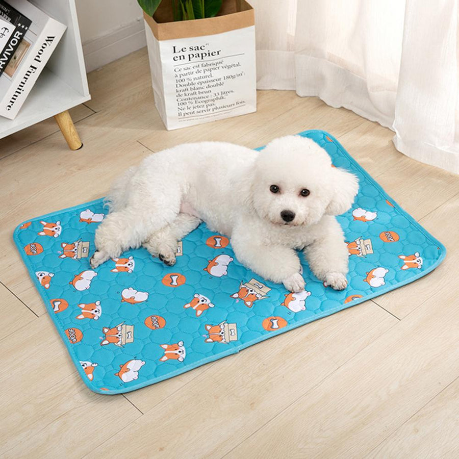 Fast Drying Pet Pee Mat