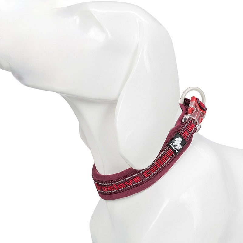 Reflective Sturdy Duraflex Buckle Dog Collar