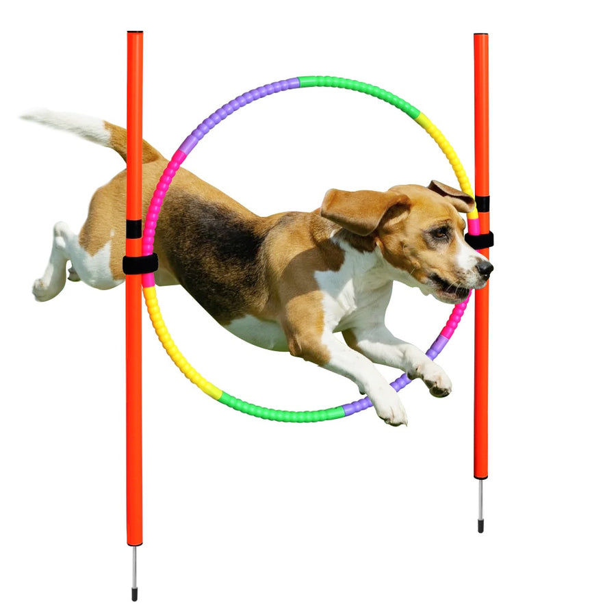 Dog Agility Cone Training Equipment