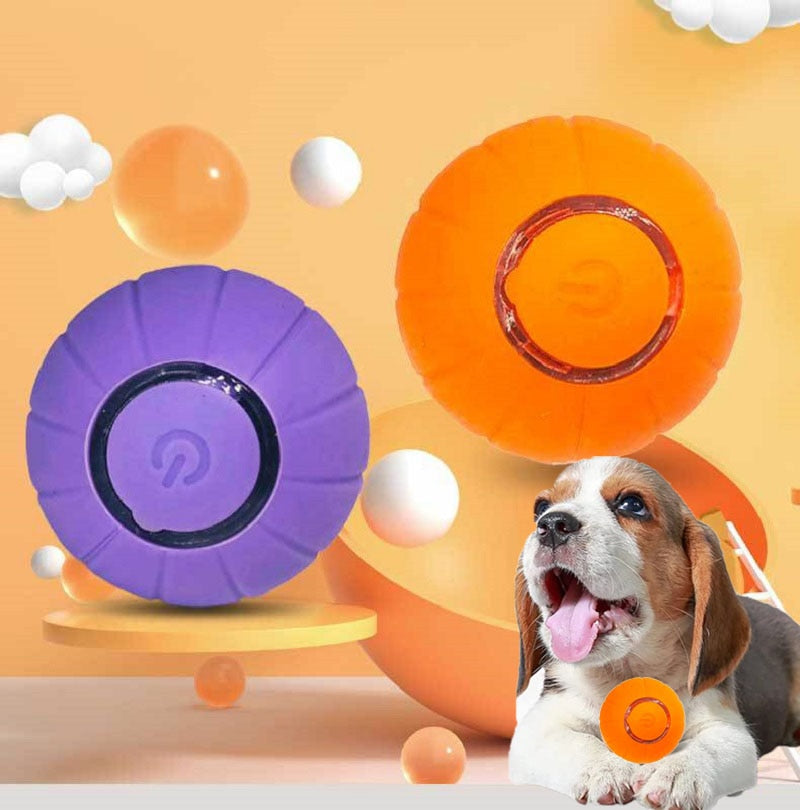 Automatic Smart Rolling Dog Ball