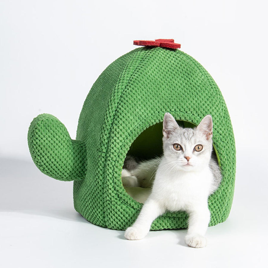 Cactus Shape Cozy Pet Bed