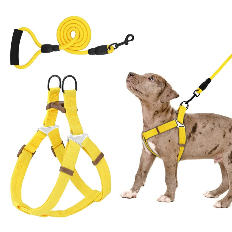 No Pull Dog Halter Harness Leash Set