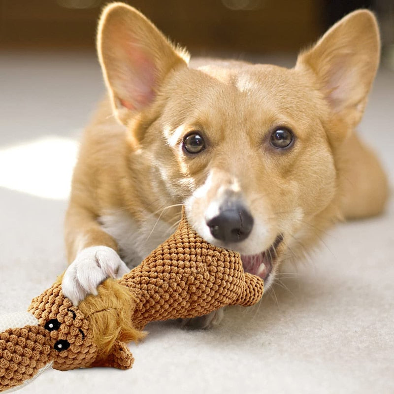 Durable Squeaky Stuffed Dog Toys