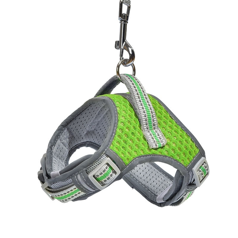 No Pull Air Mesh Dog Harness & Leash Set