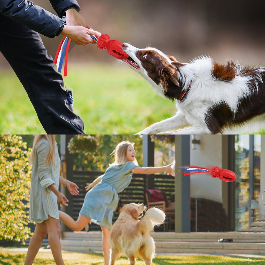 Interactive Bomb Shape Dog Toy