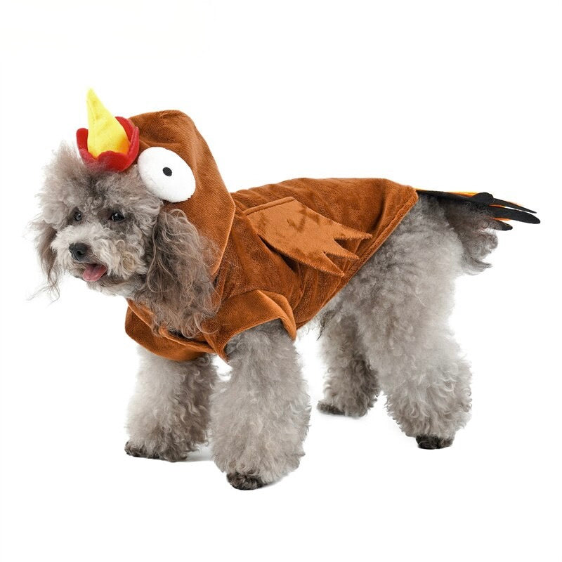 Funny Turkey Dog Costumes