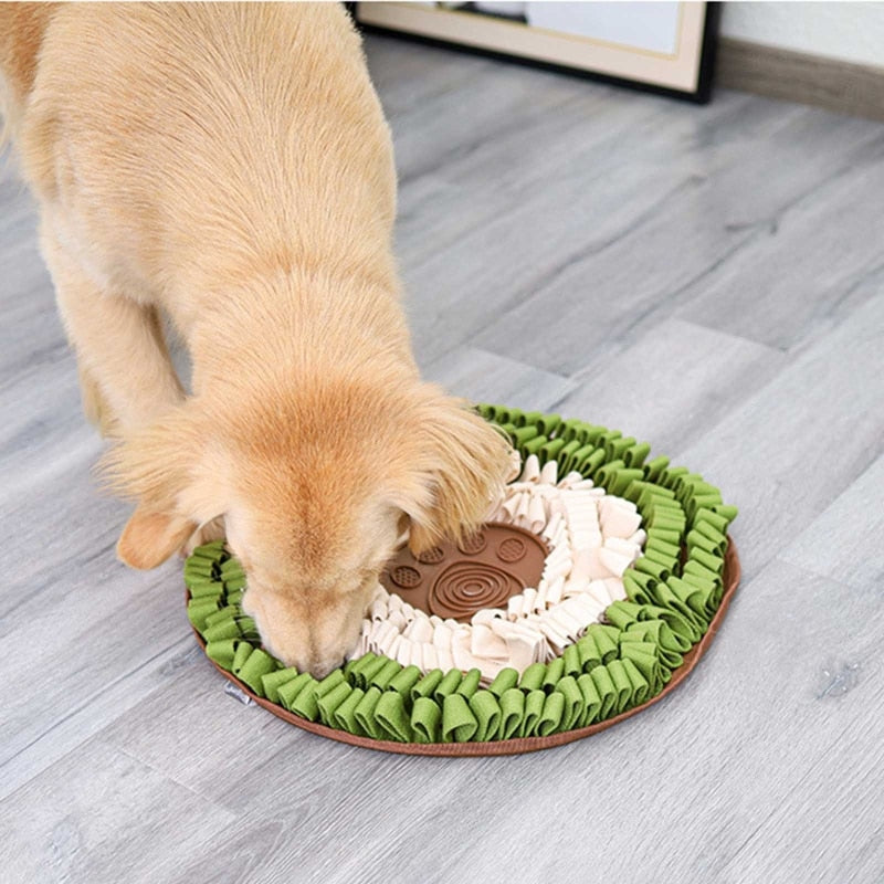 Stimulate Senses Dog Snuffle Mat