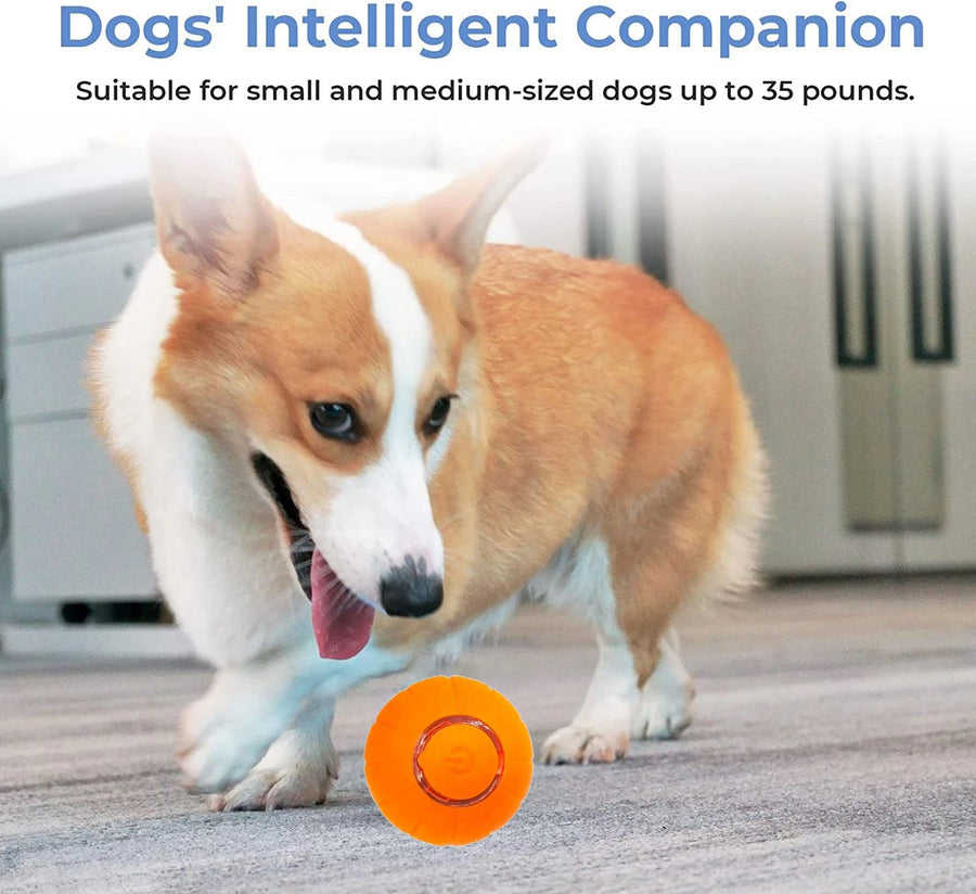 Automatic Smart Rolling Dog Ball