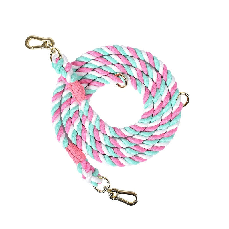 Metal Buckle Rainbow Dog Leash