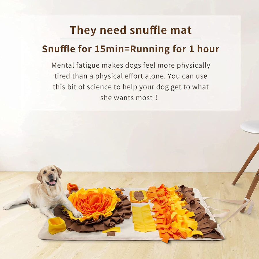 Non Slip Bottom Pad Dog Snuffle Mat