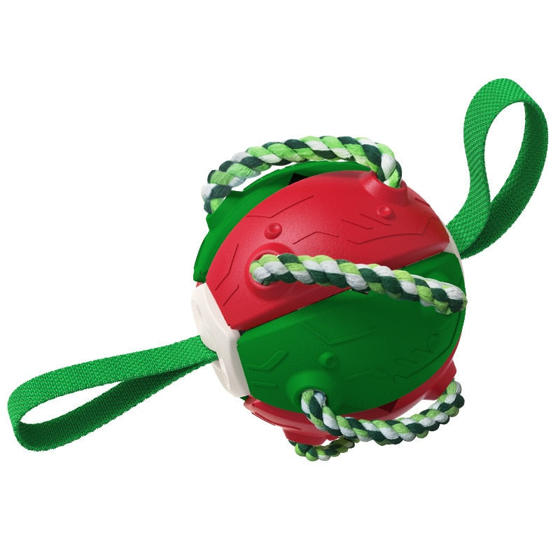 Training Agility Dog Ball Toy