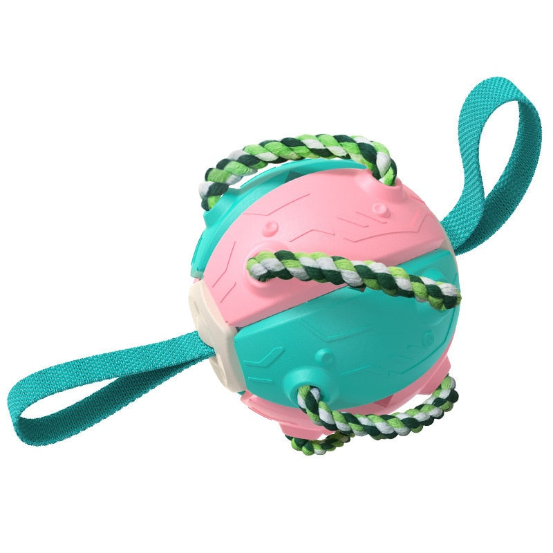 Training Agility Dog Ball Toy