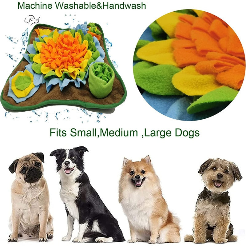 Slowing Feeding Intelligence Dog Mat