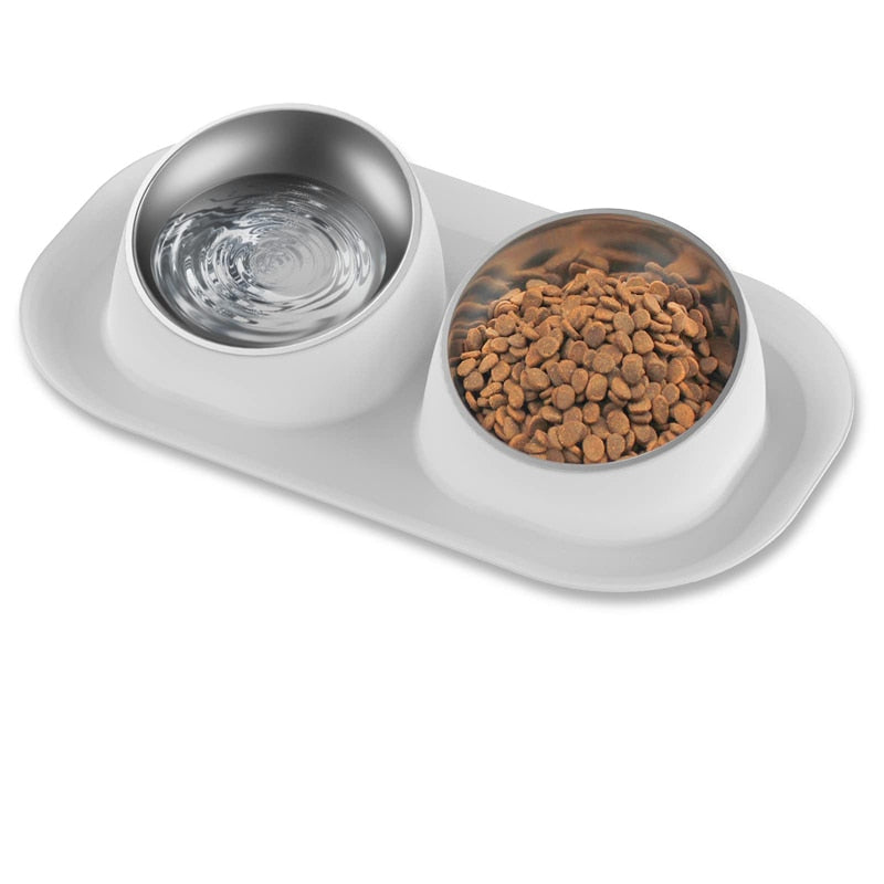 Stainless Steel Tilted Removable Dog Bowl