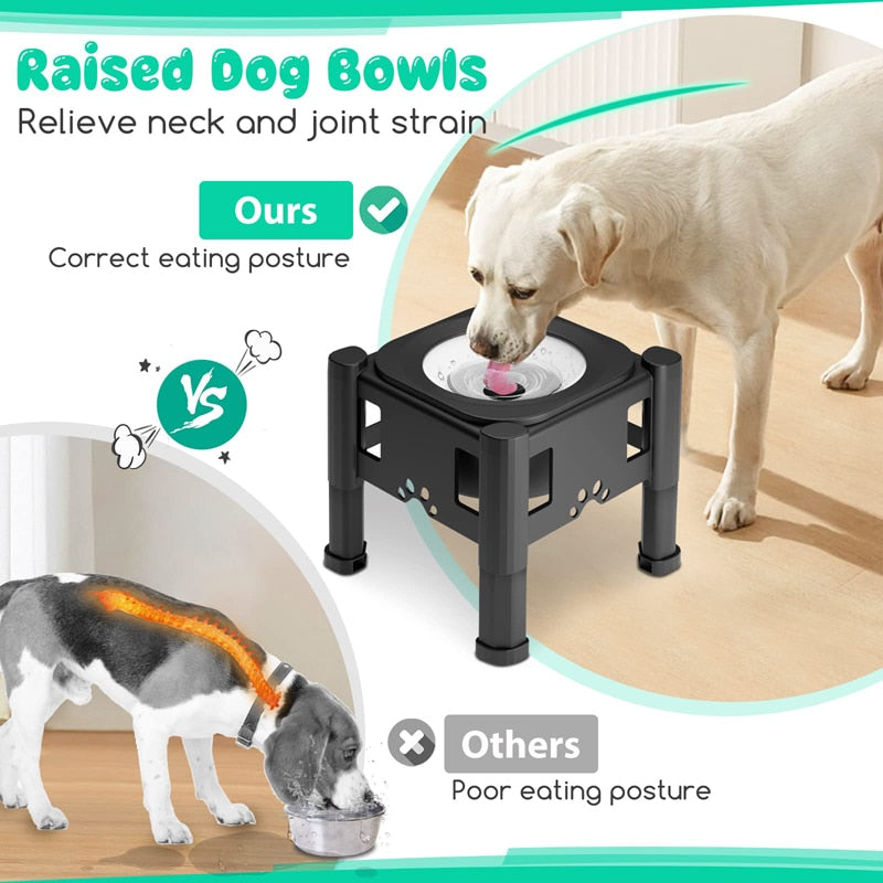 2.2L No Spill Elevated Dog Bowls