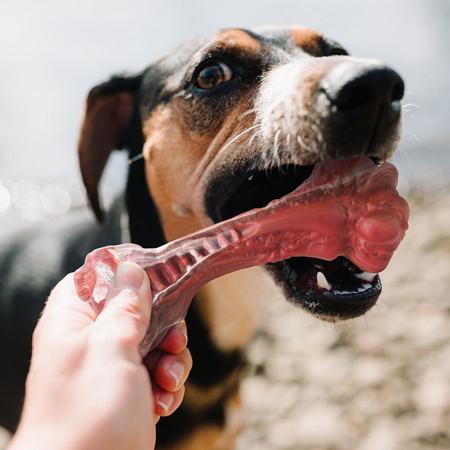 Aggressive Chewers Bone Shaped Dog Toys