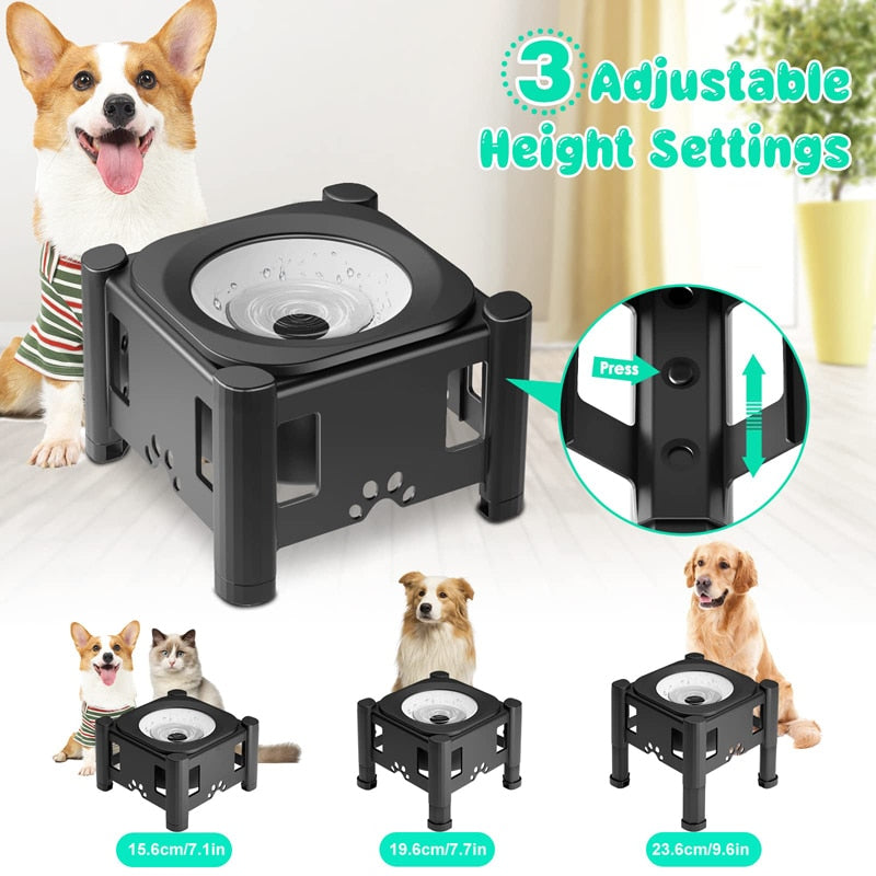 2.2L No Spill Elevated Dog Bowls