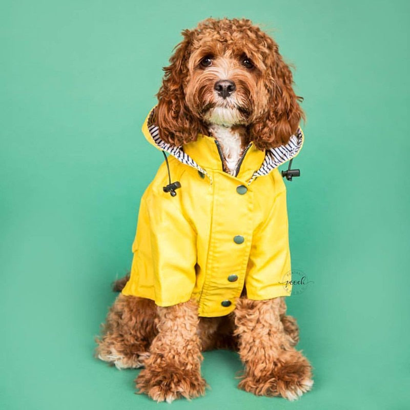 Double Layer Zip Dog Raincoat