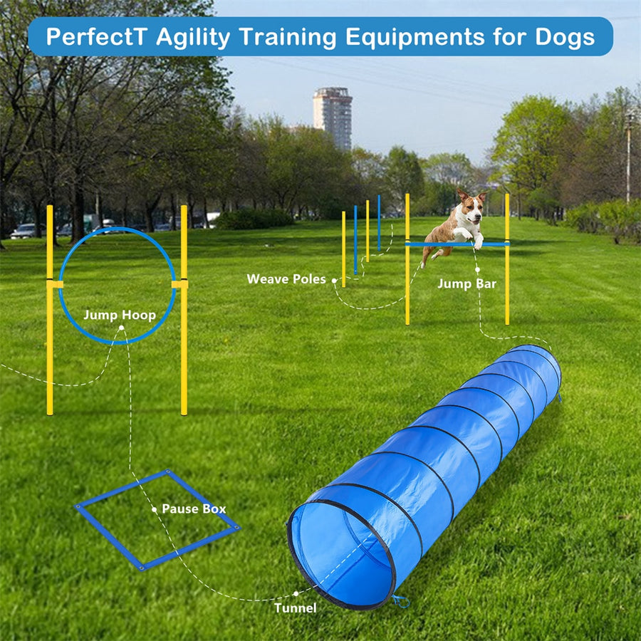 Dog Agility Training Obstacle Course Kit