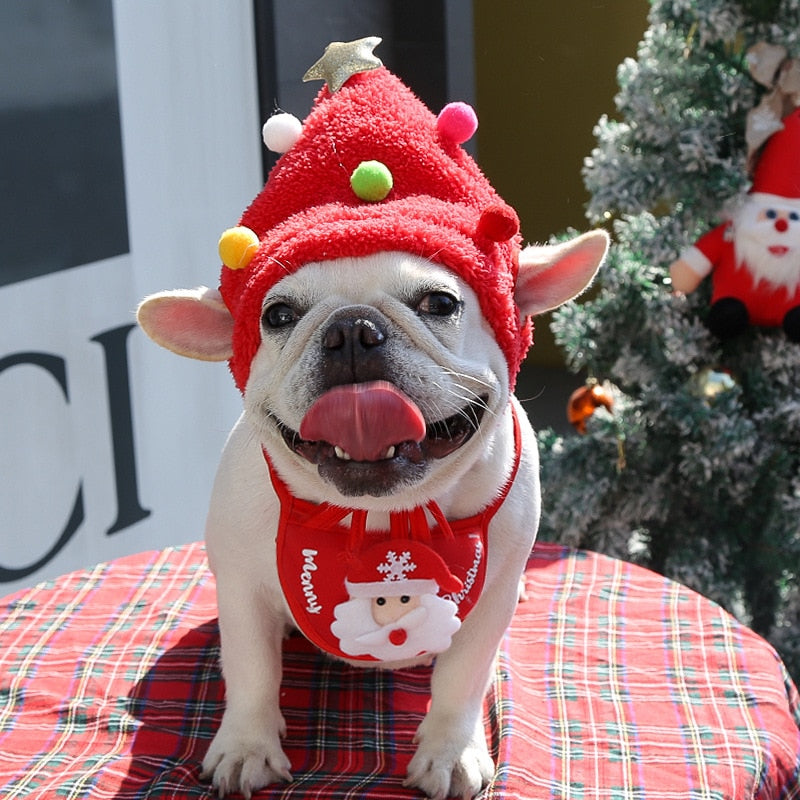 Dog Greeny  Christmas Hat