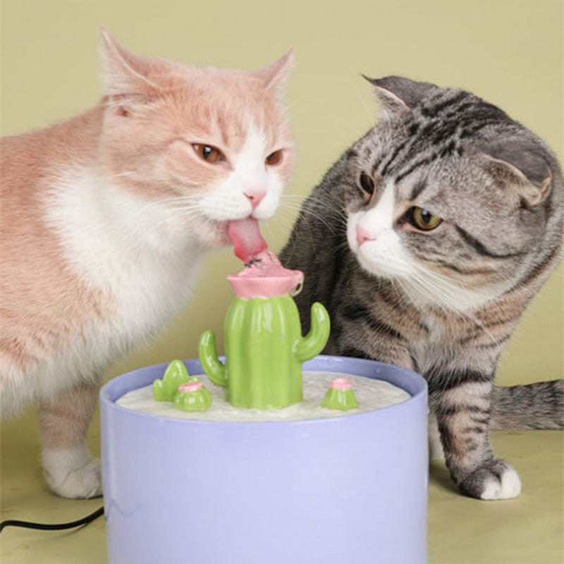 Large Ceramic Cactus Cat Water Fountain