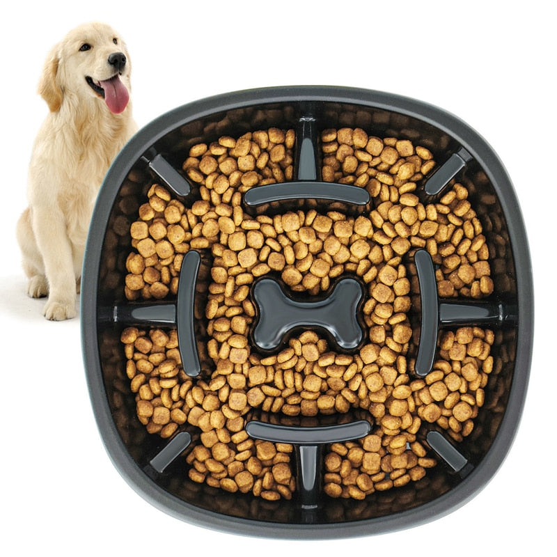 Fun Maze Dog Slow Feeder Bowl