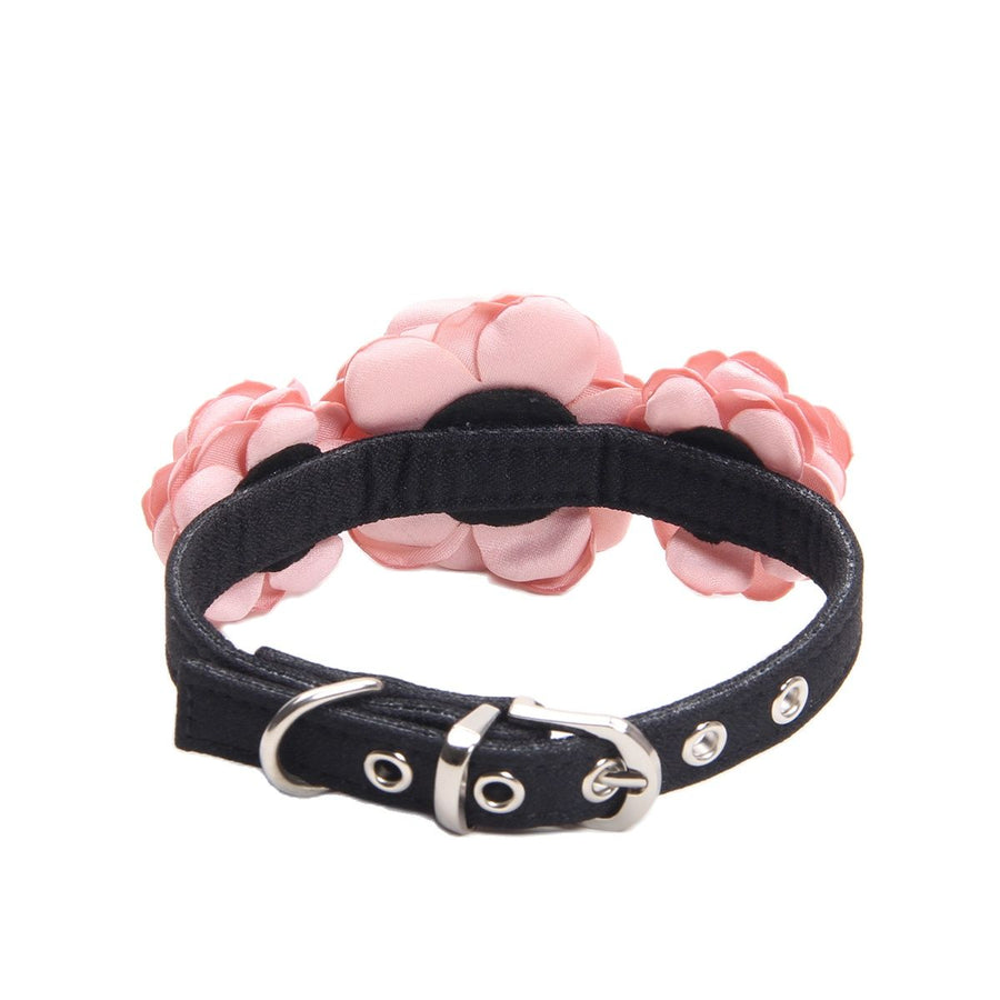 Princess Roses Leather Dog Collar