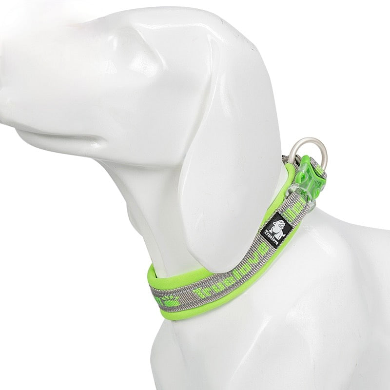 Reflective Sturdy Duraflex Buckle Dog Collar