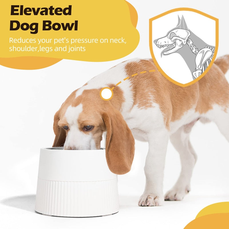 450ML Elevated Dog Bowl