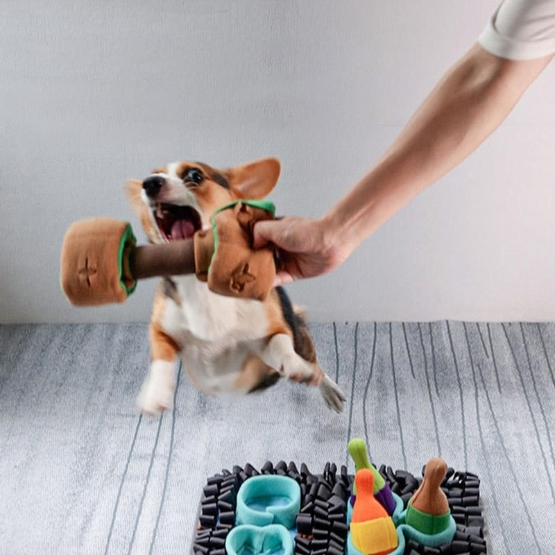 Dog Snuffle Sniffing Training Toys