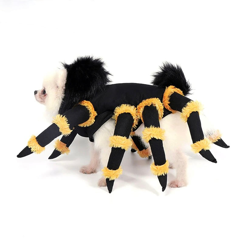 Funny Spider Dog Cosplay Costumes