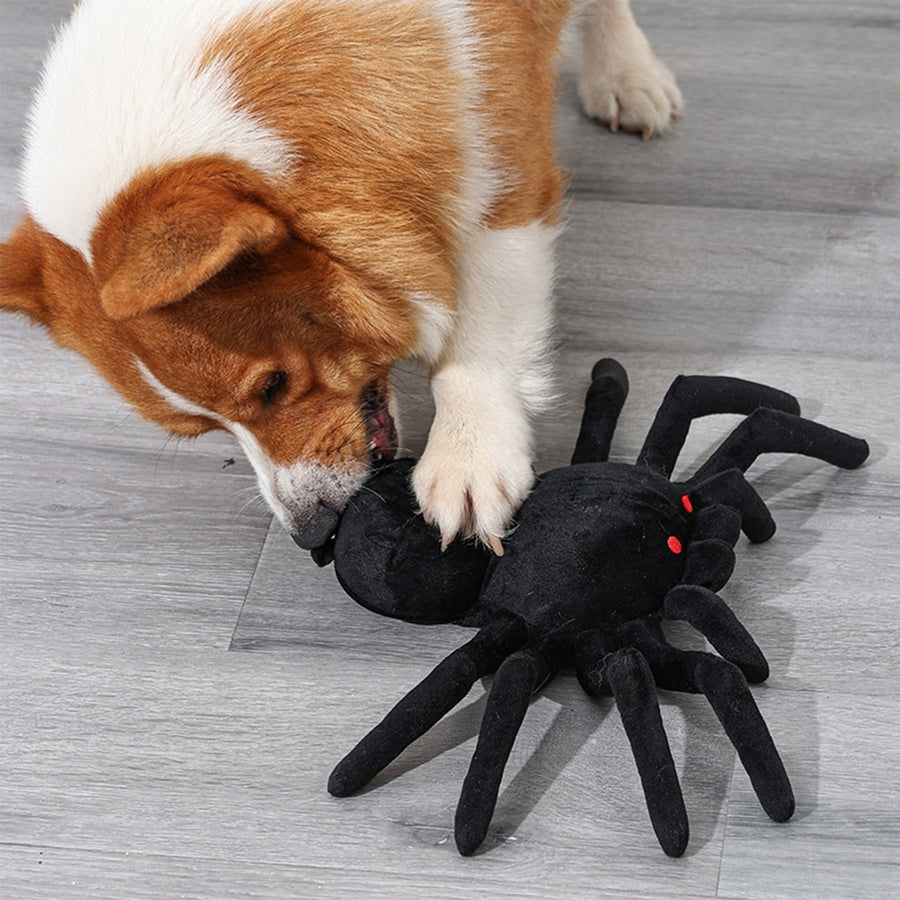 Black Spider Dog Snuffle Toys