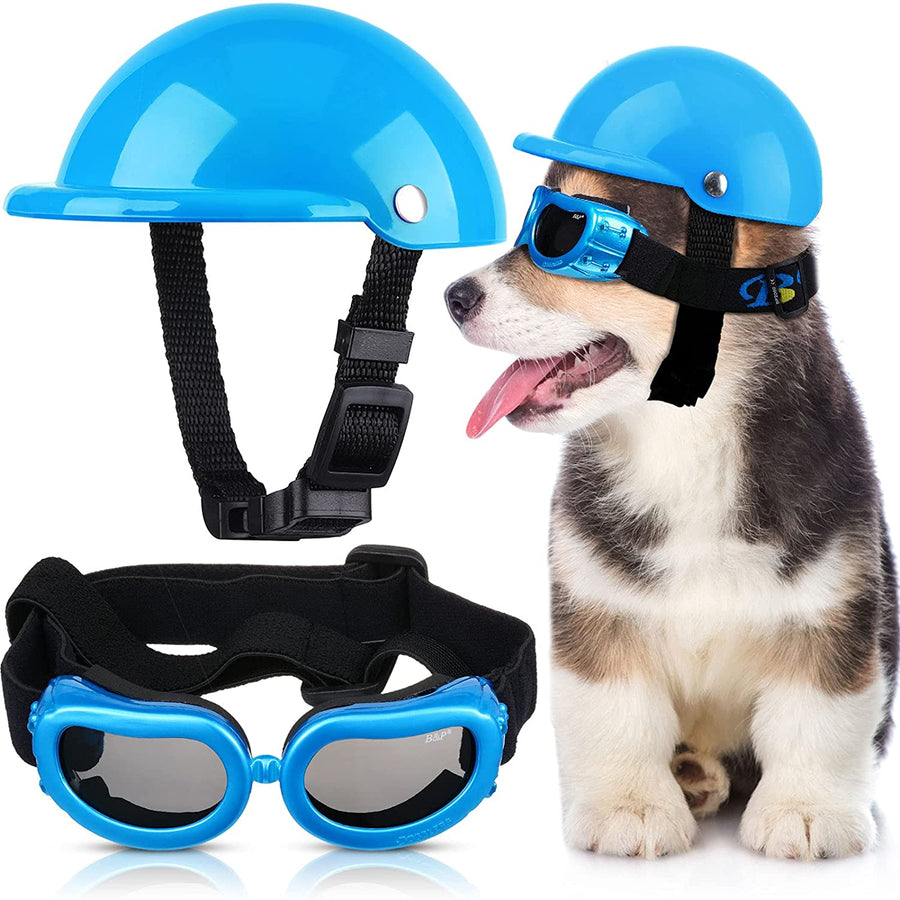 Outdoor Dog Helmet And Goggles