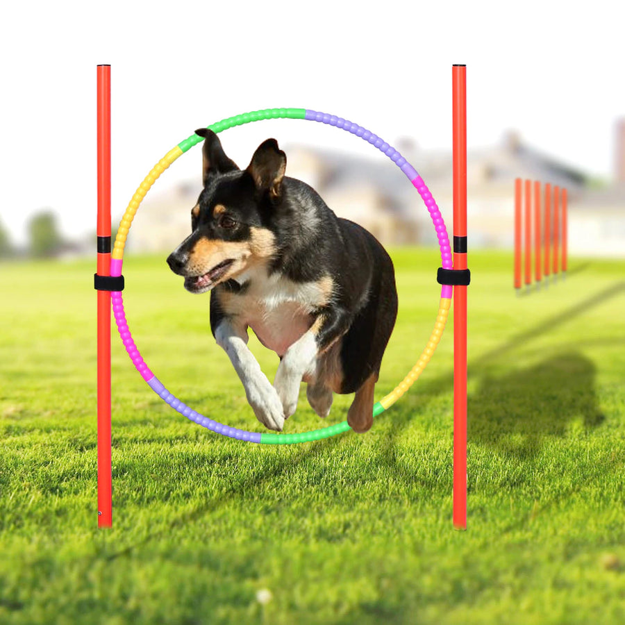 Dog Agility Cone Training Equipment