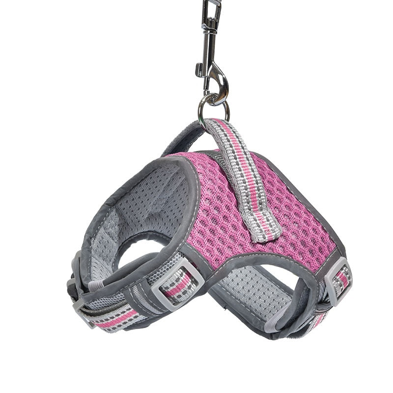 No Pull Air Mesh Dog Harness & Leash Set