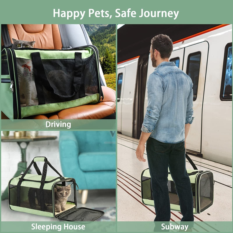 Collapsible Large Carrier For Dogs