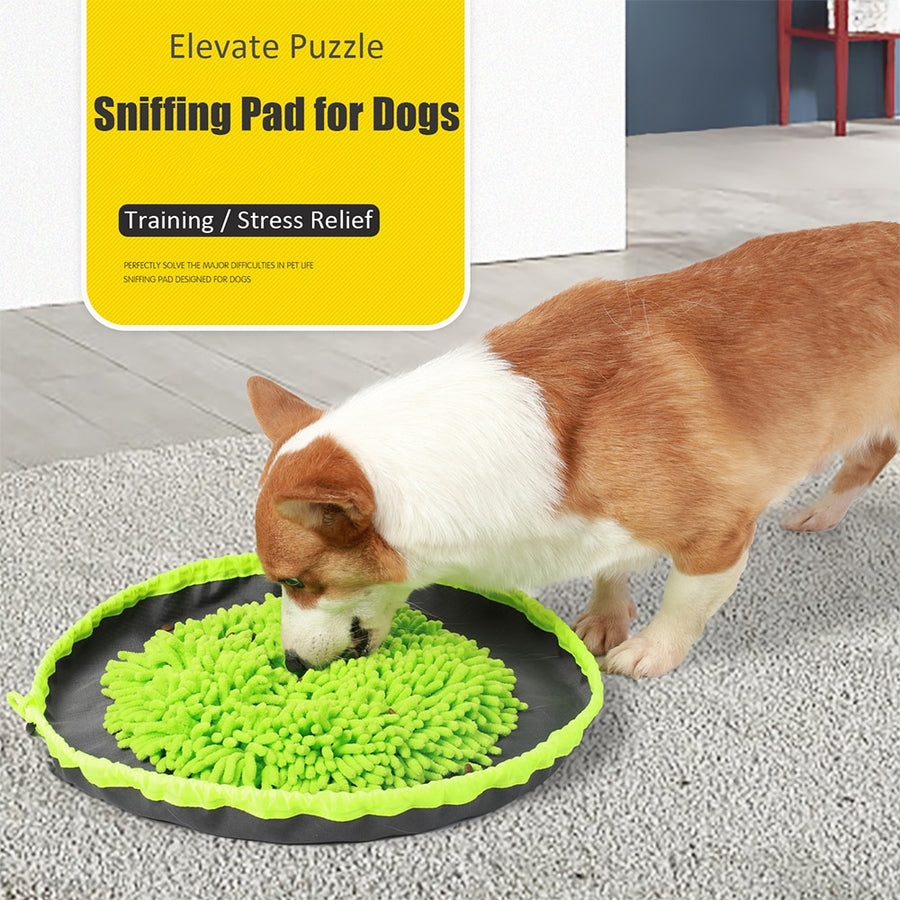 Interactive Game Dog Snuffle Mat